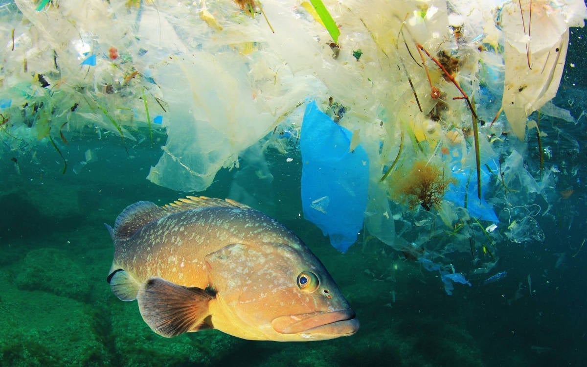 Doğaya zarar veren yatırımlar, koruma harcamalarının 30 katı