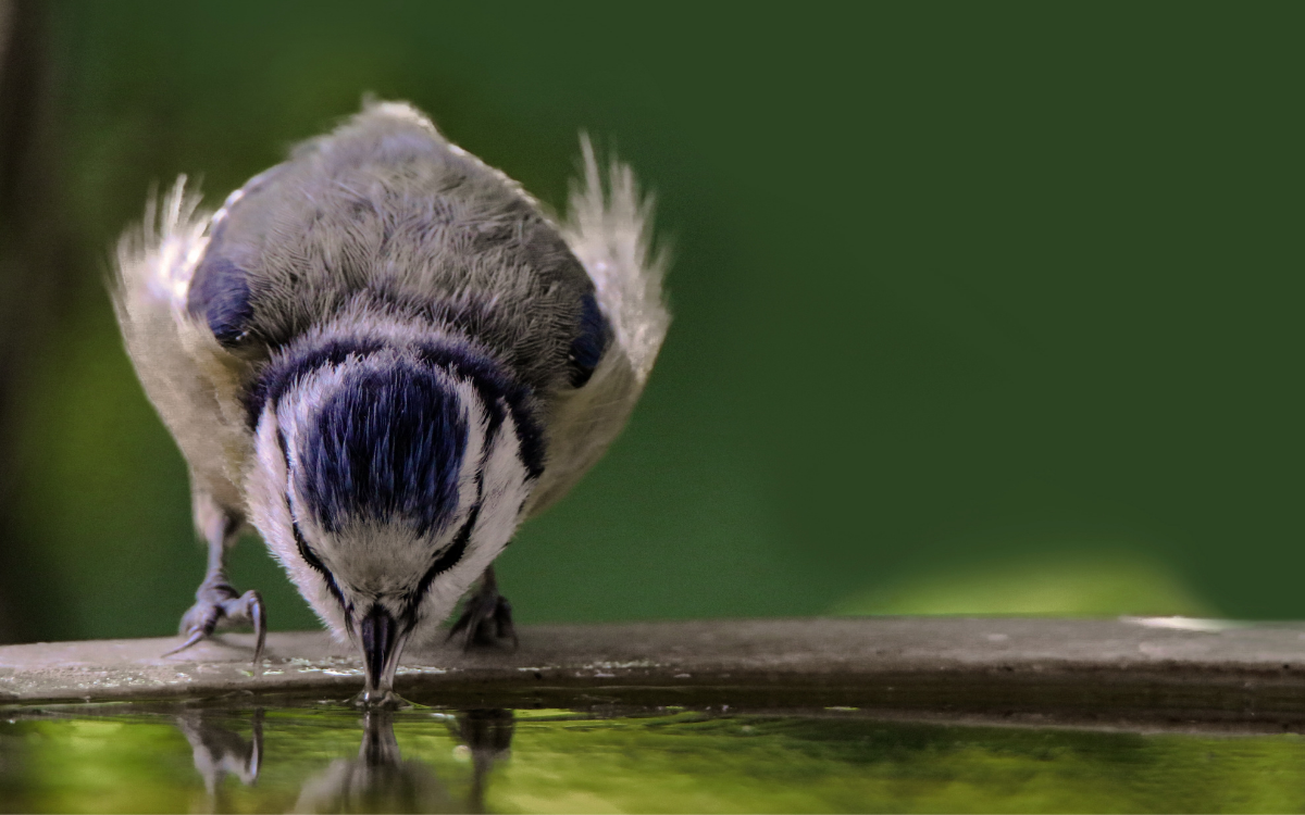 “Yaşamı ve suyumuzu savunuyoruz”