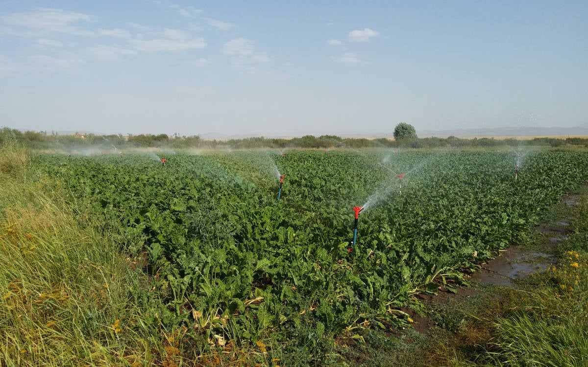 Gürer: Elektrik zammı tarımı doğrudan etkileyecek