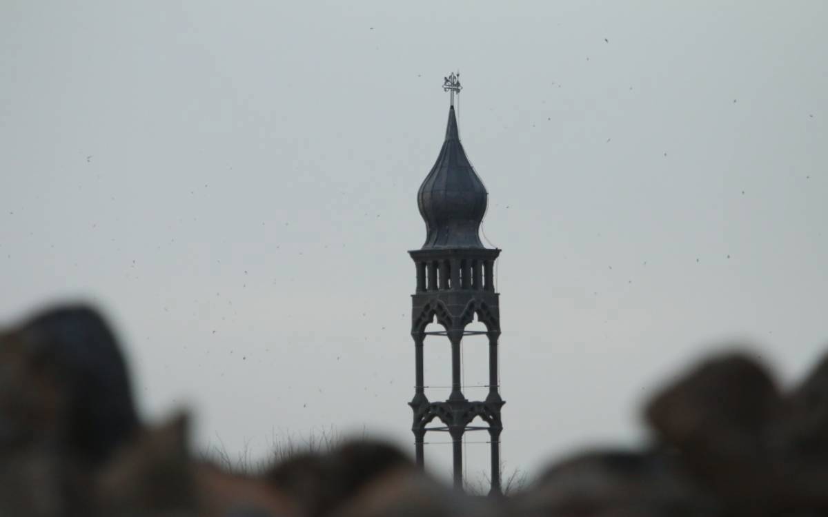 Bi fotografan Amed û rengên biharê