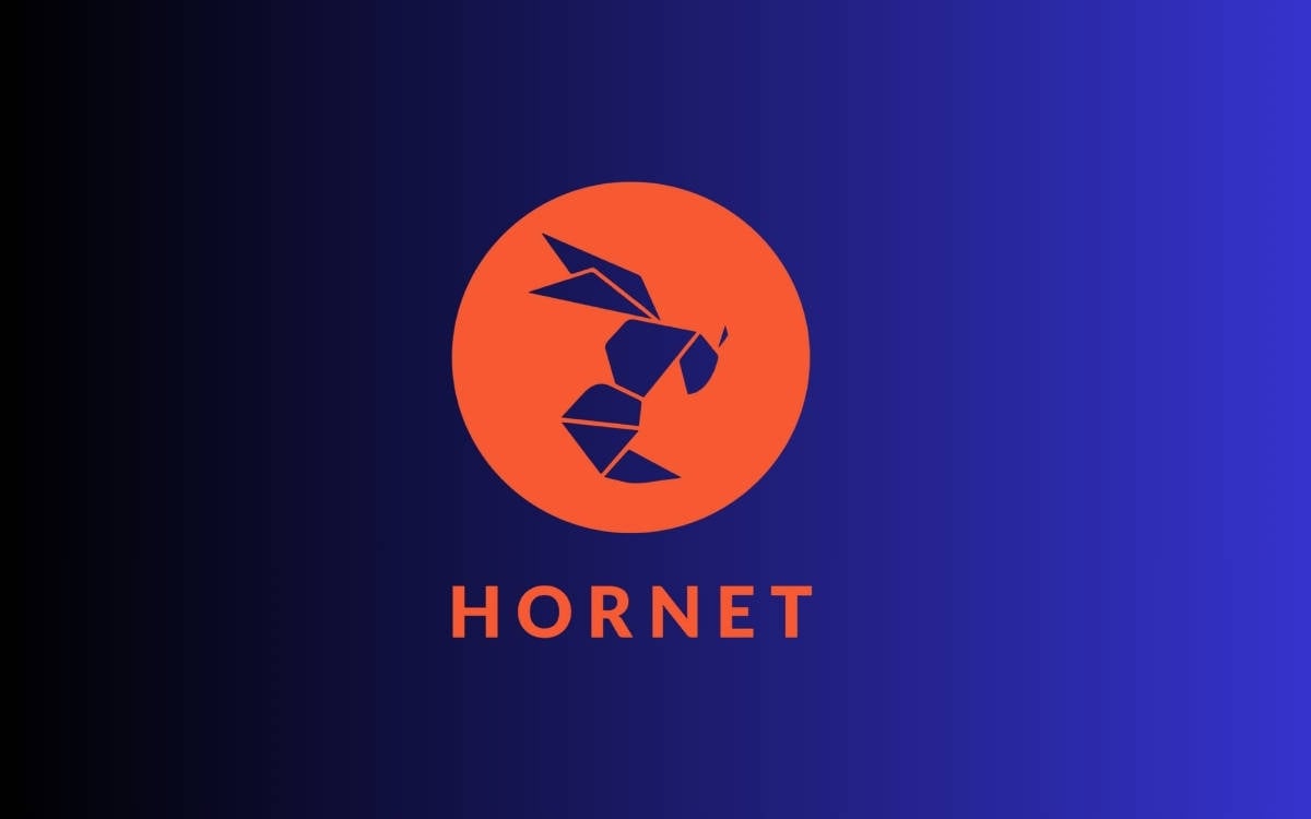AYM kararı sonrası açılan Hornet’e yeniden erişim engeli