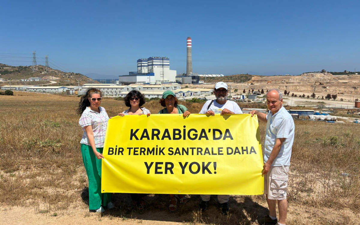 Kömürden çıkış vaadiyle yeni santral izni aynı masada