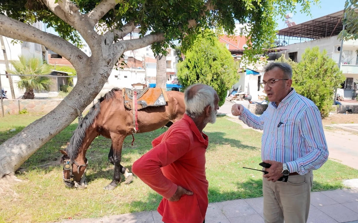 Mersin’de eziyet edilen at kurtarıldı: Antalya’daki bir çiftliğe gönderilecek