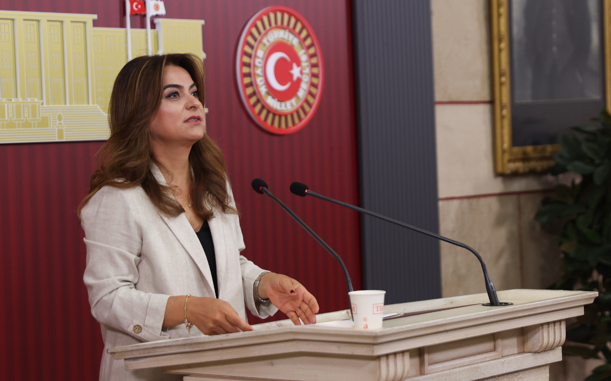 Koçyiğit’ten Meclis’e “barış sürecini izleme kurulu” çağrısı