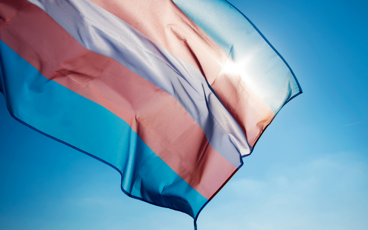 Trans Terapi Grubu 2 Eylül’de çevrimiçi buluşacak
