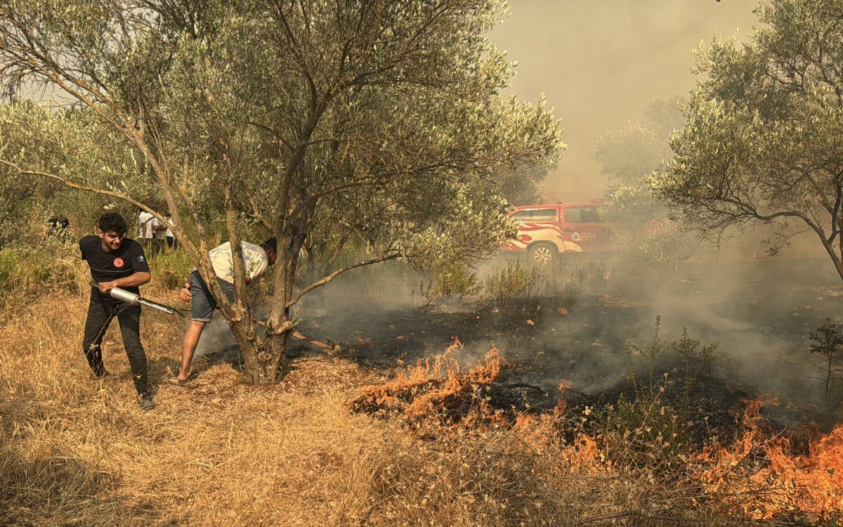 Muğla'daki orman yangını Antalya'ya sıçradı