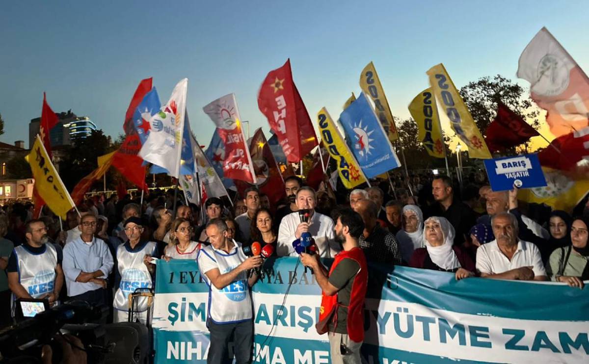Li Amed, Enqere, Wan û  Stenbolê 1ê Îlonê: Bi hezaran kes bi daxwaza aştiyê li qadan bûn