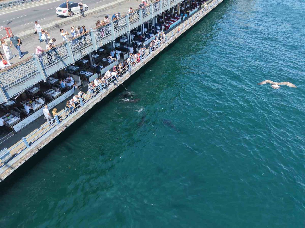 Orkinoslar Marmara'ya geri döndü