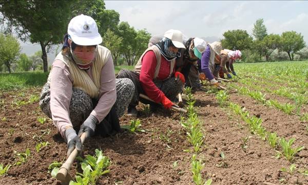 Over 1,800 agricultural workers killed on the job in a decade