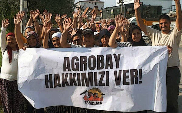 Agrobay greenhouse workers continue protests outside of consulates