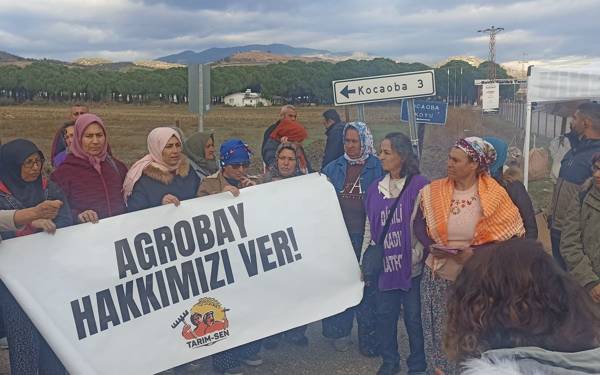Agrobay tarım işçileri: Haklarımız verilmedi