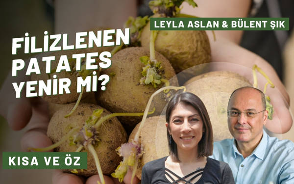 Kısa ve Öz 34: Filizlenen patates yenir mi?