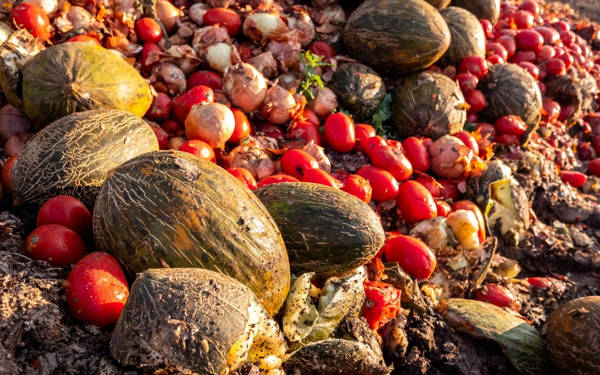 “Türkiye’de her yıl 19 milyon ton gıda çöpe gidiyor”
