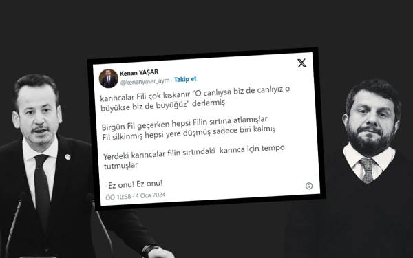 AYM üyesi Yaşar, 'karınca-fil' paylaşımını sildi