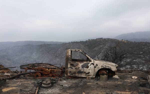 Şili’deki orman yangınlarında 99 kişi hayatını kaybetti