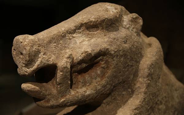 Urfa'da çıkarılan neolitik döneme ait 81 eser ilk kez sergilenecek