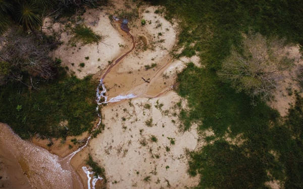 Dünyanın en büyük et üreticileri, Cerrado savanasını ormansızlaştırmakla suçlandı