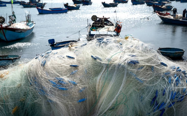 WWF’ten yeni rapor: Hayalet balıkçılığın sualtı habitatlarına etkileri