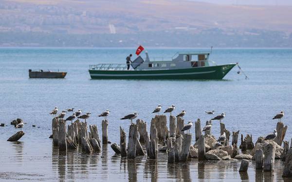 Ekolojist Menekşe Kızıldere: Van Gölü’nün kalıcı zarar görmesinin sebeplerinden biri kayyımlardır