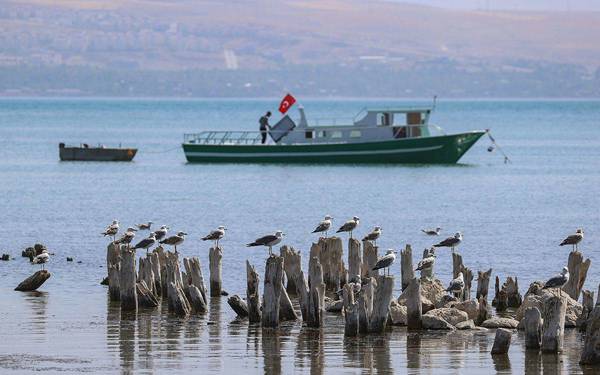 ‘Trustee regime contributes to permanent damage on Lake Van’