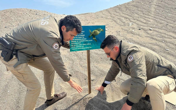 Police place warning signs in Mersin beach as loggerhead turtles nest