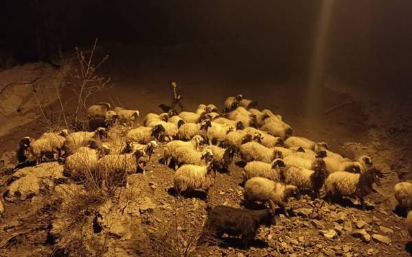Hakkari'de heyelan nedeniyle koyunlar toprak altında kaldı