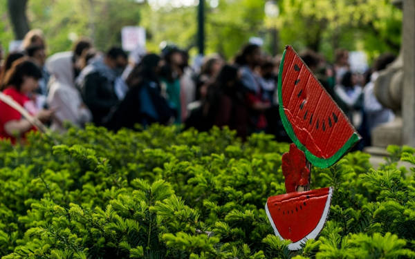 ODTÜ ve Boğaziçi Üniversitesi yönetimlerine 'akademik özgürlük' tepkisi