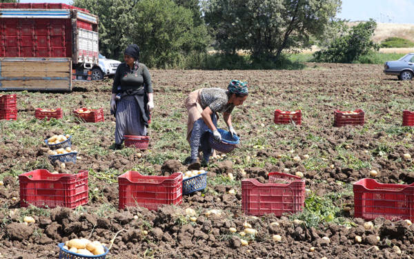 CHP’den tarımda çalışan kadınların SGK primlerinin devlet tarafından karşılanması için yasa teklifi