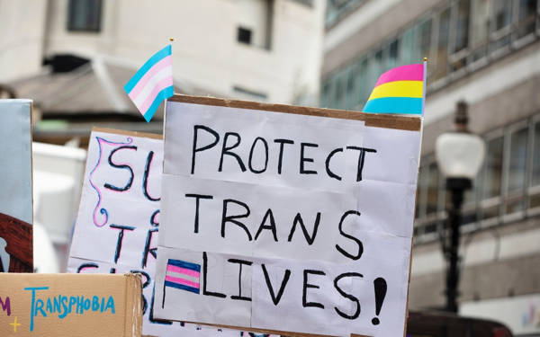 Peru'da transların 'akıl hastası' olarak sınıflandırılması protesto ediliyor