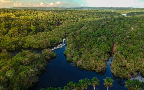 Amazon Ormanları, kuraklık nedeniyle kendini ‘kritik düzeyde yavaş’ yeniliyor