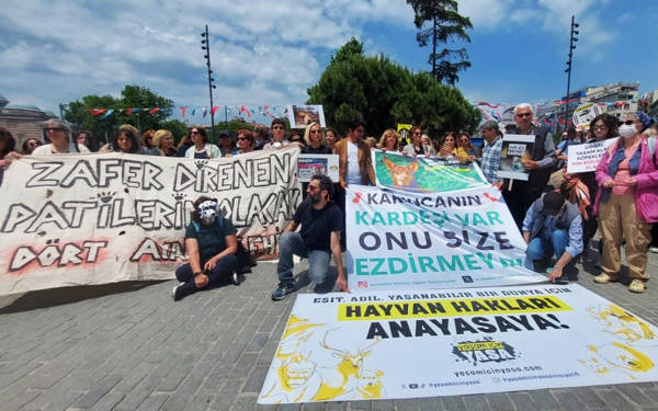 “Yüzyıllardır köpeklerle paylaştığımız bu sokaklarda, dostlarımızın yanındayız”