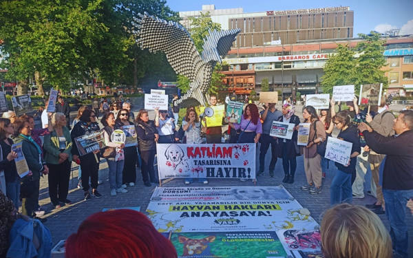 Hayvan hakları savunucuları Beşiktaş’ta taşlı saldırıya uğradı