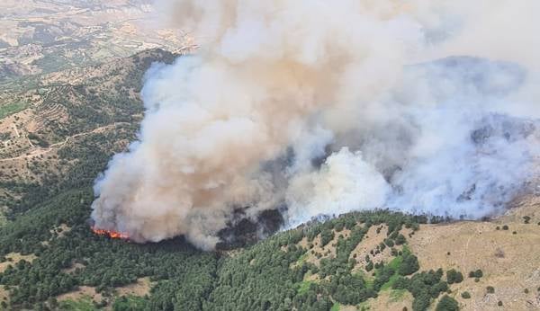 /haber/turkey-grapples-with-wildfires-amid-heatwave-296599