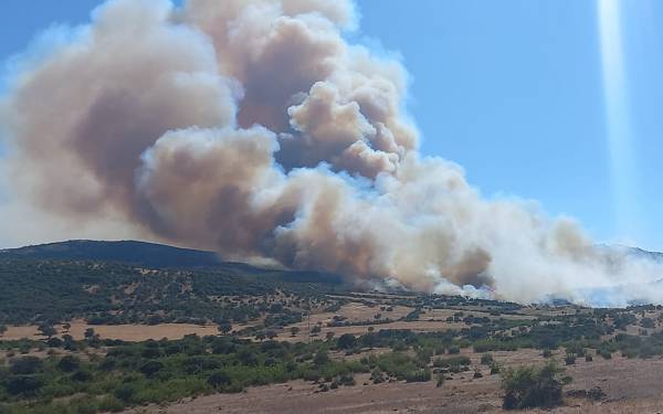 Çanakkale ve İzmir’de orman yangını