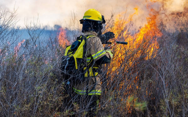Türkiye'de orman yangınları geçen yıla göre yaklaşık beş kat arttı