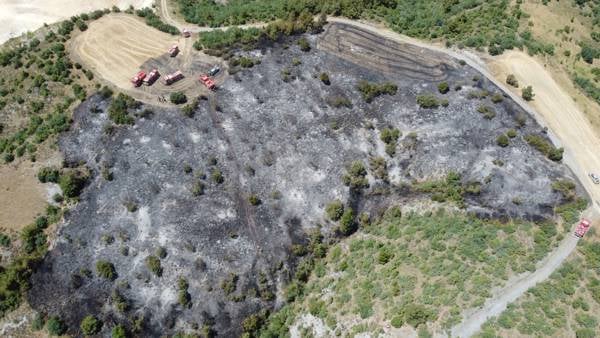 /haber/turkey-faces-fivefold-increase-in-wildfires-in-june-compared-to-last-year-296756