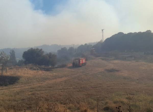 Soma’da orman yangını: 1 kişi öldü