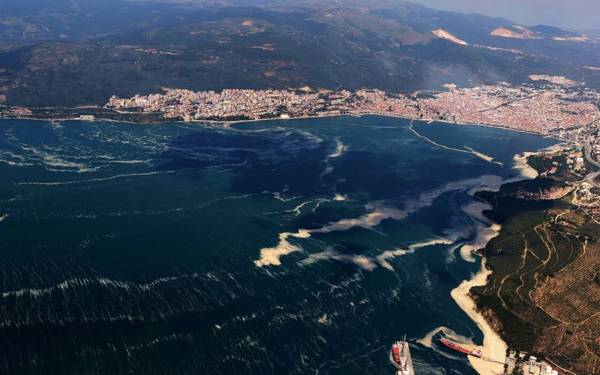 Fish ‘can’t survive beyond 30 meters of depth’ in Turkey’s Marmara Sea due to oxygen depletion