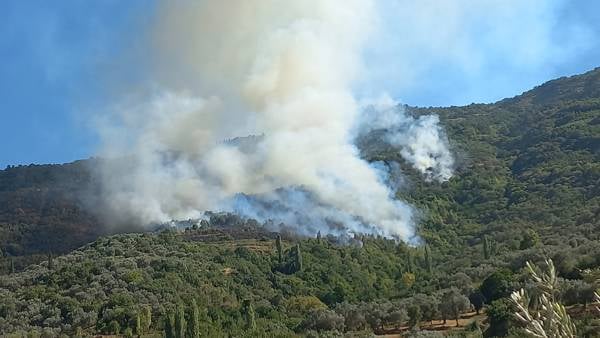 Karşıyaka Belediyesi, devam eden yangına müdahale için destek istedi