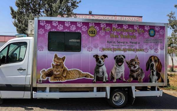 Diyarbakır introduces mobile neutering units in face of ‘dog massacre law’