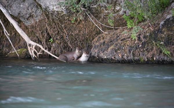 'Unlawful' hydroelectric plant project threatens ecosystem in Dersim