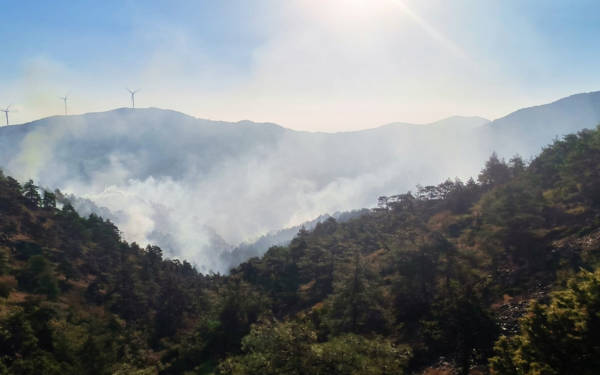 Hatay'da çıkan orman yangını kontrol altına alındı