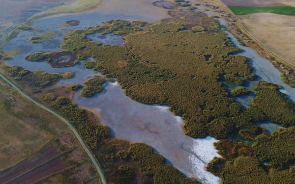 Bird haven Gökgöl lake dries up as Turkey’s largest basin struggles with drought