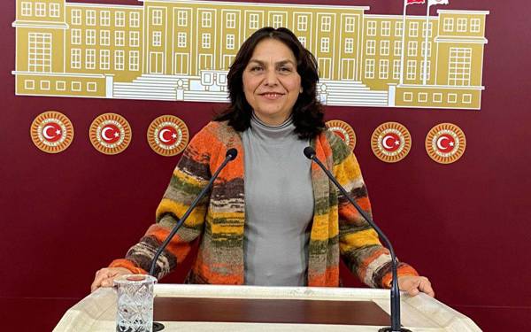 DEM Parti: İranlı Kürt göçmenlerin geri gönderilmesi insan haklarına aykırıdır