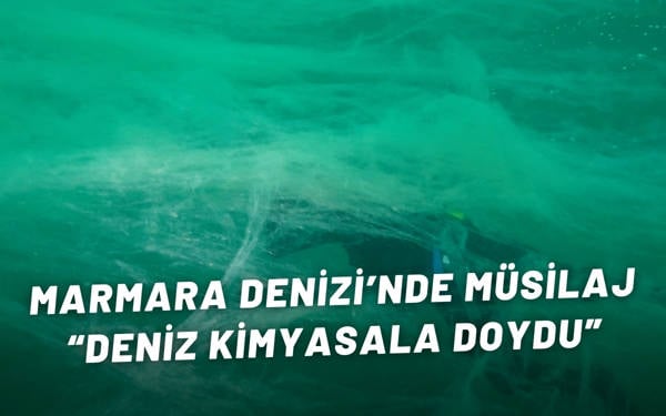 Marmara Denizi’nde müsilaj: Deniz kimyasala doydu