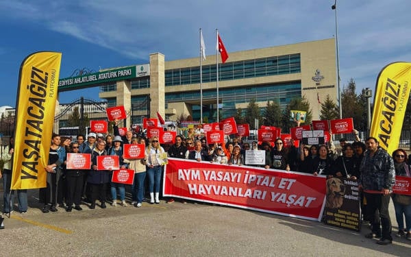 AYM, sokaktaki hayvanlarla ilgili düzenlemenin iptalini görüşecek