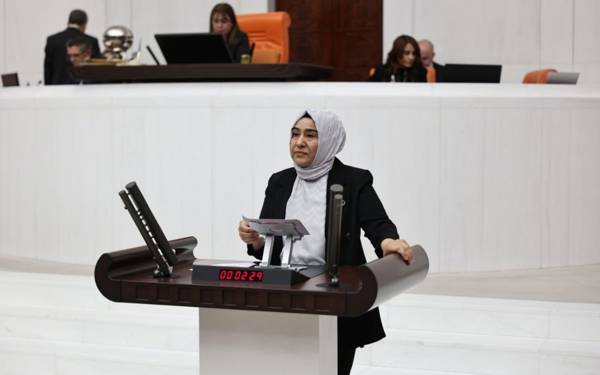 DEM Parti: Kayyım, Van’da kadın destek hizmetlerini zayıflatıyor