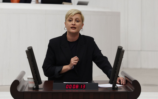 TÖP Sözcüsü Perihan Koca: Meclis'te atılacak hiçbir adımın garantisi yok