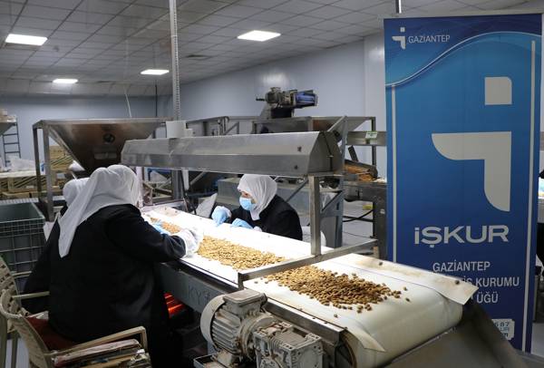Turkey’s unemployment rate at 8.4% in May