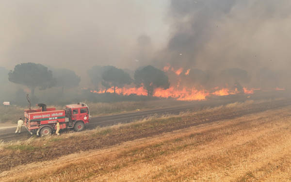 AKP’nin Silivri ilçe eski başkanı yangın çıkardığı için tutuklandı